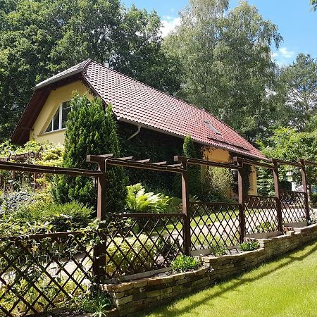 Ferienwohnung Mittelmuehle Тойпиц Экстерьер фото
